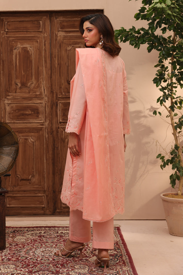 3 Pc Formal Suit - ZL25-C11-09